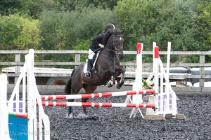 Class 5 - Fences not above 2'6